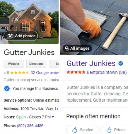 Gutter Junkies Business Profile snapshots